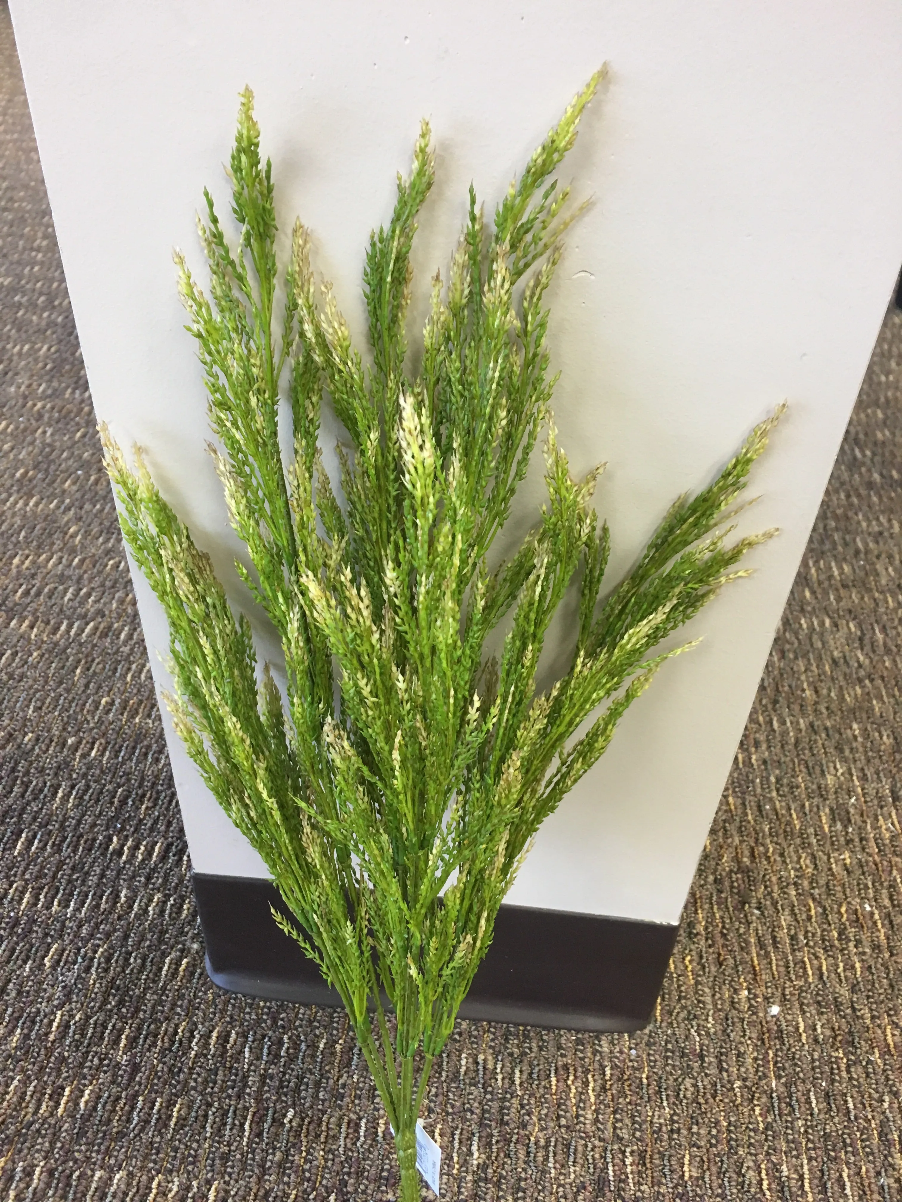 Wheat Bush